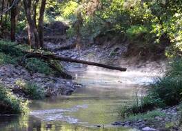 Yabbaloumba Retreat 写真