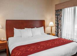 コンフォート スイーツ エルクハート サウス 写真