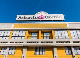 シラチャ オーキッド 写真