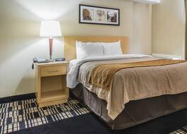 コンフォート イン ベルヴィル 写真