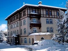 ソルダネラ 写真