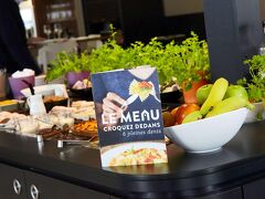 カンパニール ロワシー アエロポール CDG ル メニル アムロ 写真