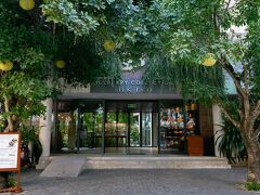 マルベリー コレクション シルク エコ 写真