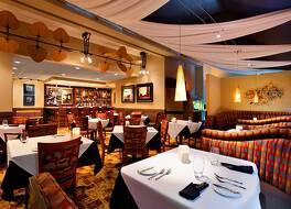 パラダイス 写真