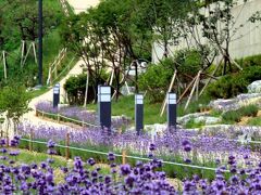 エバーリッチ ホテル 写真