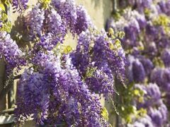 ザ ブロードウェイ ホテル 写真