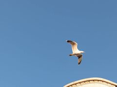 オテル アルベール プルミエ ニース 写真