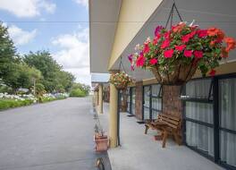 アントニオ ミューズ モーテル 写真