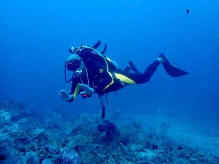 ［サバング］スタジオ バンガロー（25 m〓）／1バスルーム 写真