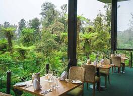 テ ワオヌイ フォレスト リトリート 写真