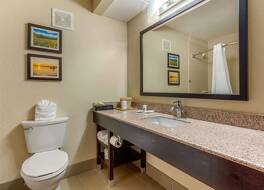 コンフォート イン レノア シティ-ノックスビル 写真