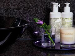 フレミングスホテル ウィーン シュタットハレ 写真