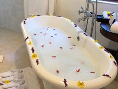 エレワナ ザ マナー ンゴロンゴロ 写真