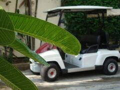 フローラル シャイア スワンナプーム エアポート 写真