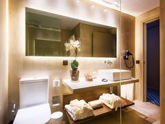 ホテル ドム ヘンリケ ダウンタウン 写真