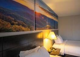 デイズ イン バイ ウィンダム カド バレー アーカデルフィア 写真