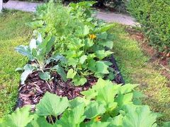 ザ ウェイフェアリング バックアイ ホステル 写真