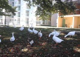 リバー プレイス イン 写真