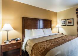 コンフォート イン & スイーツ ノース オーロラ - ネーパーヴィル 写真