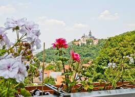 REGIOHOTEL Schanzenhaus Wernigerode 写真