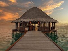 アンサナ ヴェラヴァル 写真