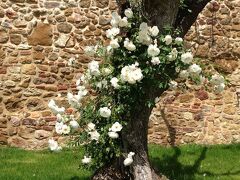 ボルゴ サンタンブロージョリゾート 写真