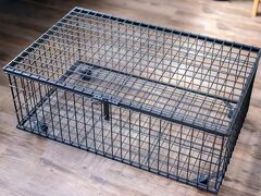 ホップ イン 写真