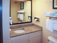 マスタング イン 写真