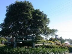 クーロイ ラグジュアリー モーテル アパートメンツ 写真