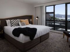 QT ウエリントン 写真