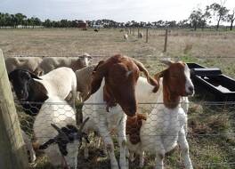 The Oxley Estate B&B 写真