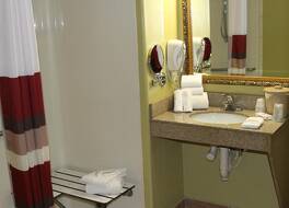 レッドルーフイン＆スイート デトロイト-メルヴィンデール/ディアボーン 写真