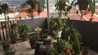 アンダーソン ホテル