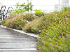 シーザー パーク ホテル 台北 写真