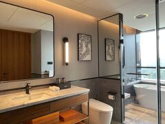 Sheraton Yiyang Four Points Hotel 写真