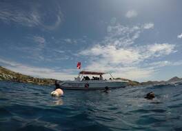 Bird Rock Beach Hotel 写真