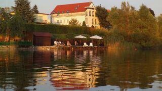 ストランドホテル アルテ ドナウ