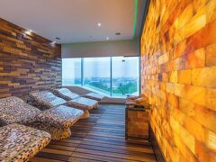 シェラトン ノヴィ サッド 写真