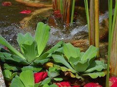 ホテル アジア 写真