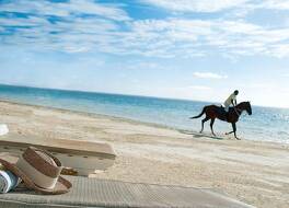 ベランダ パルマール ビーチ ホテル オール インクルーシブ 写真