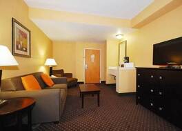 コンフォート スイーツ アット リバーゲート モール 写真