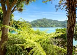 Lochmara Lodge 写真