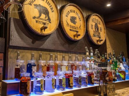 ワイルド ベア イン 写真