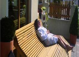 Hotel Zillertaler Hof 写真