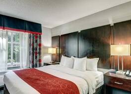 コンフォート スイーツ ウィリアムズバーグ ヒストリック エリア 写真