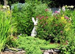 ザ ライラック イン 写真