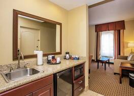 ハンプトン  イン & スイーツ セバービル アッ スタジアム ドライブ 写真