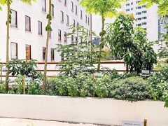 イビス バンコク スクンビット 4 写真