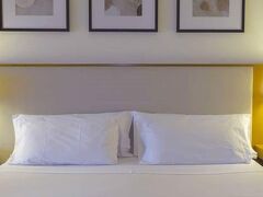 NH バリローチェ エーデルワイス 写真