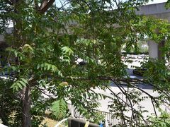 ホステル バレンティン 2 写真